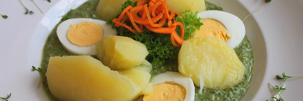 Ein Teller mit Frankfurter Grüner Soße und Kartoffeln