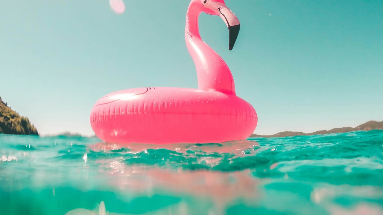 Ein Pelikanschwimmreif im Sommer